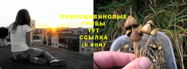 дмт Абинск