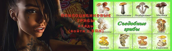 дмт Абинск
