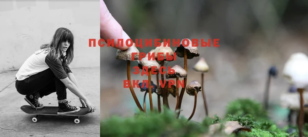 ГАЛЛЮЦИНОГЕННЫЕ ГРИБЫ Абаза