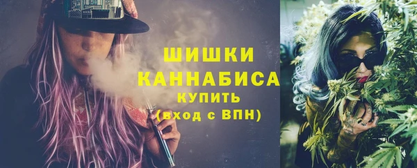 ГАЛЛЮЦИНОГЕННЫЕ ГРИБЫ Абаза