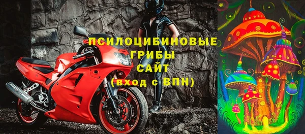 ГАЛЛЮЦИНОГЕННЫЕ ГРИБЫ Абаза