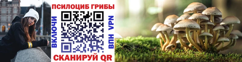 Псилоцибиновые грибы Magic Shrooms  Владикавказ 