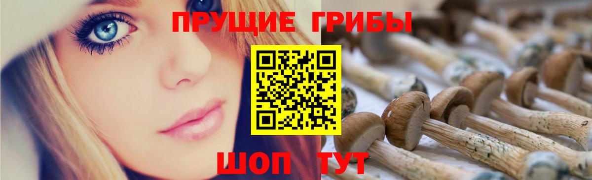 Галлюциногенные грибы Magic Shrooms  Вход с VPN  Галлюциногенные грибы прущие грибы  Владикавказ 
